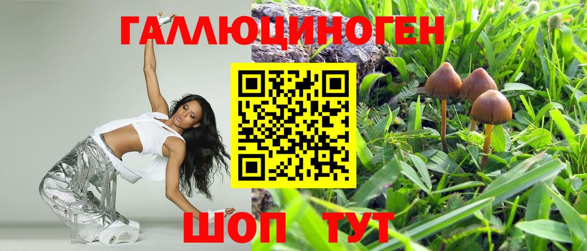 Галлюциногенные грибы мицелий Волхов
