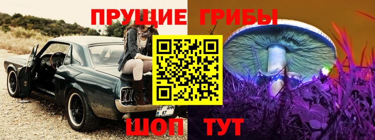 Галлюциногенные грибы Psilocybine cubensis  Вход с VPN  как найти закладки  Волхов  Галлюциногенные грибы мухоморы 