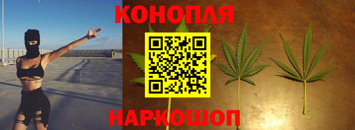 Шишки марихуана планчик Волхов